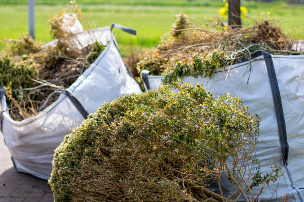 Best Trash Removal Near Me  in Guthrie, KY